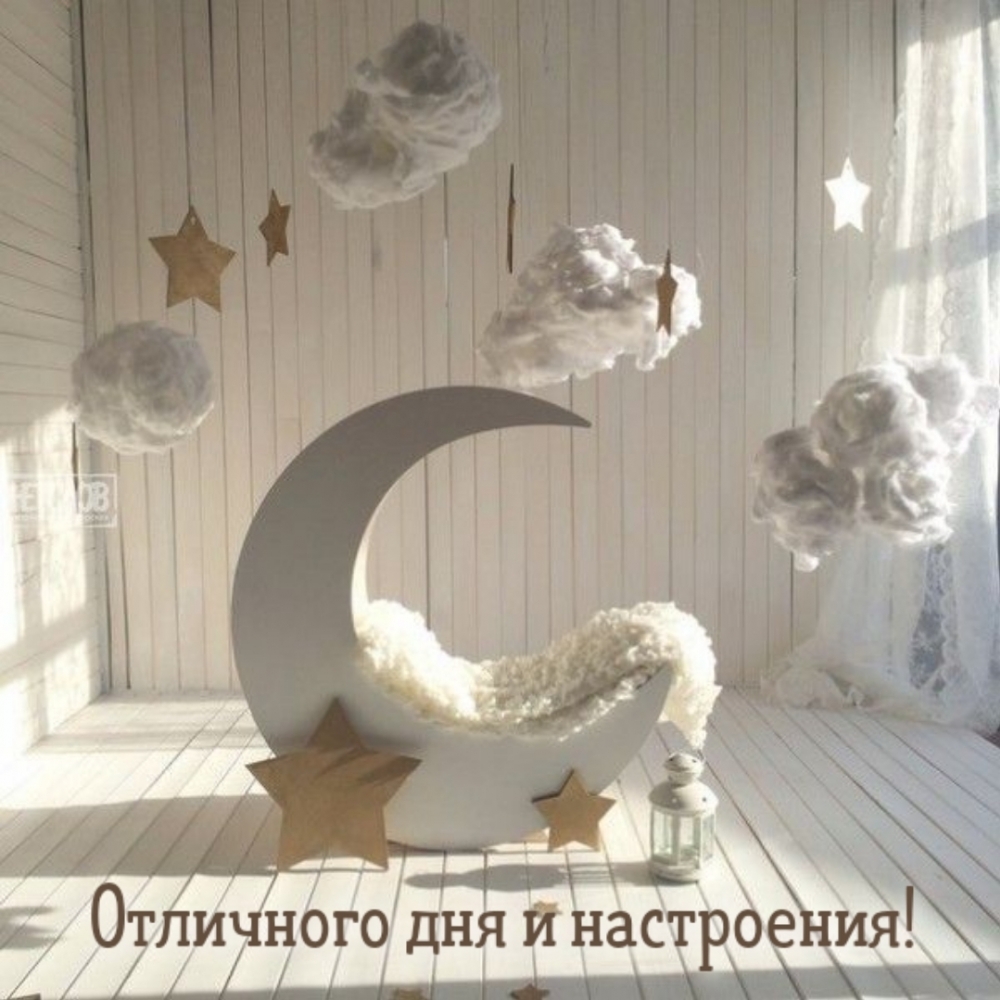 Отличного дня и настроения!