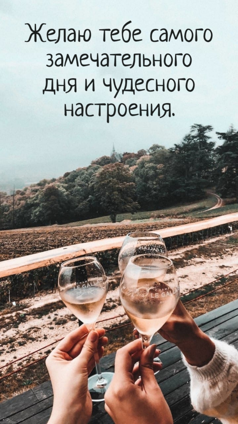 Желаю тебе самого замечательного дня и чудесного настроения.
