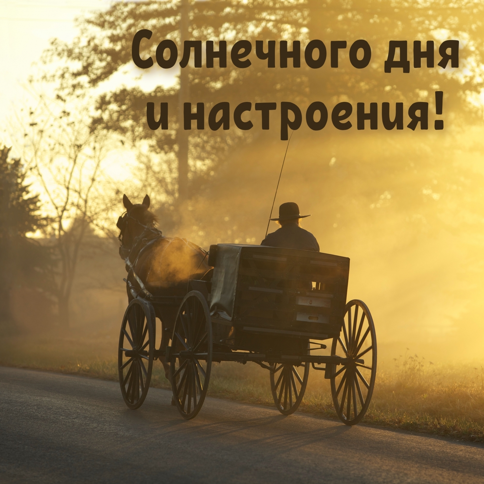 Солнечного дня и настроения!