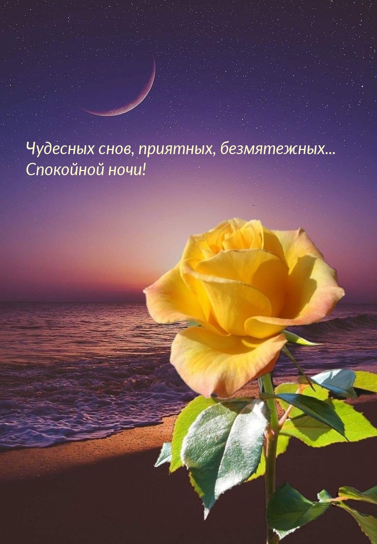 Чудесных снов, приятных, безмятежных… Спокойной ночи!
