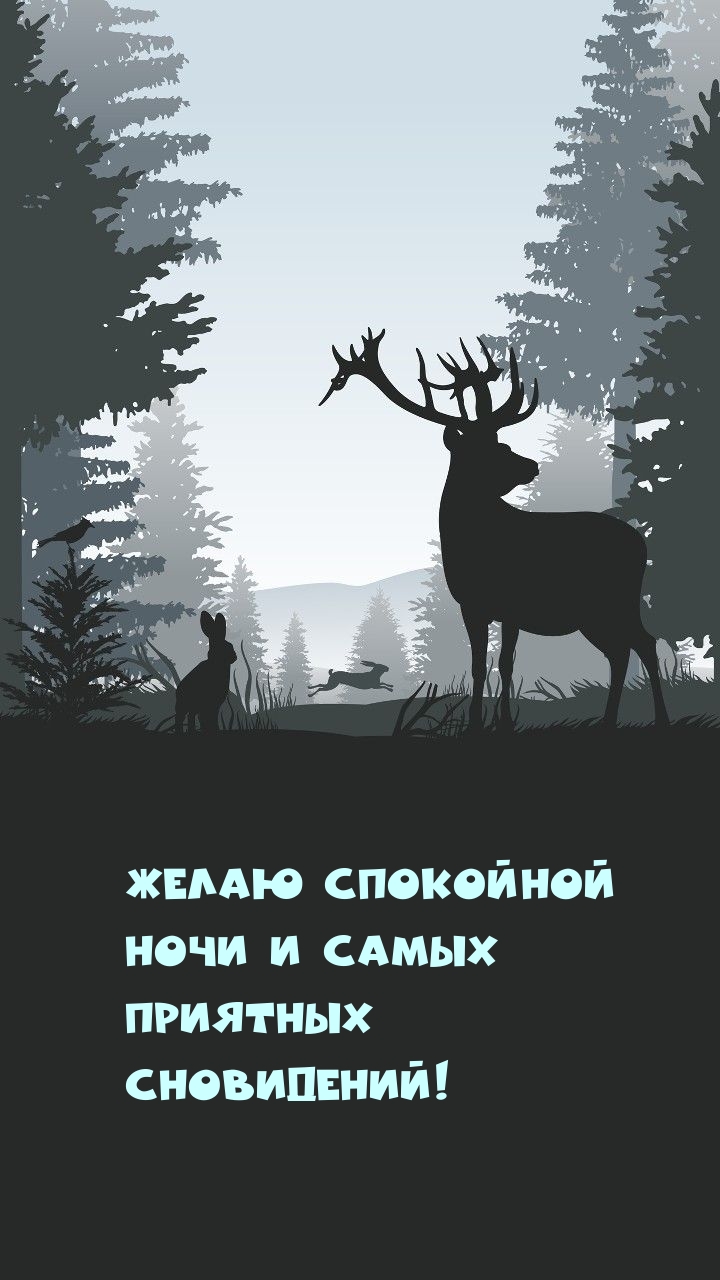 Желаю спокойной ночи и самых приятных сновидений!