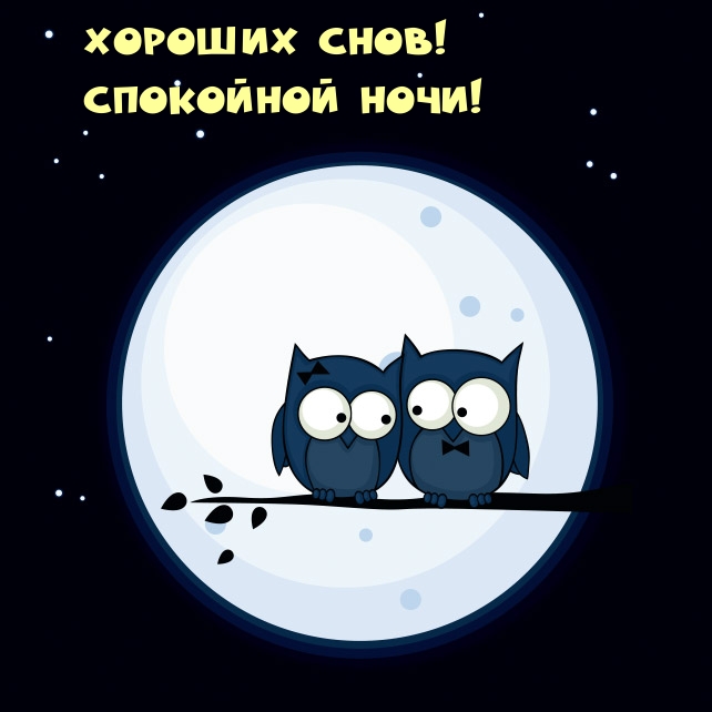 Хороших снов! Спокойной ночи!