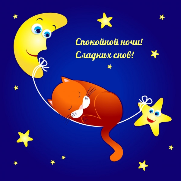 Спокойной ночи! Сладких снов!