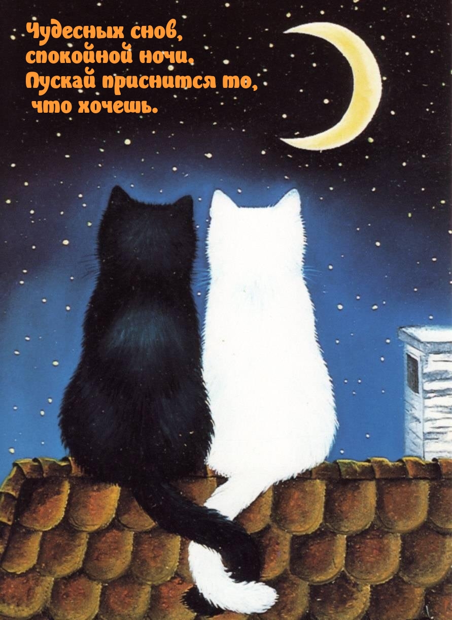 Чудесных снов, спокойной ночи