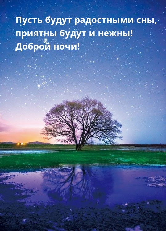 Пусть будут радостными сны, приятны будут и нежны!