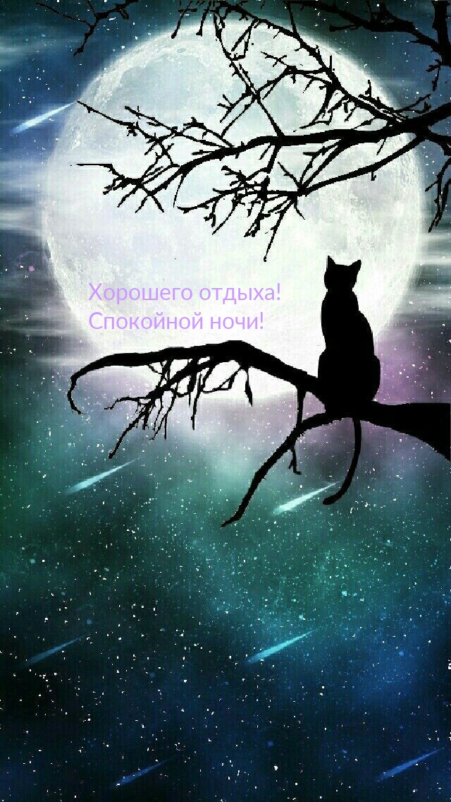 Хорошего отдыха! Спокойной ночи!