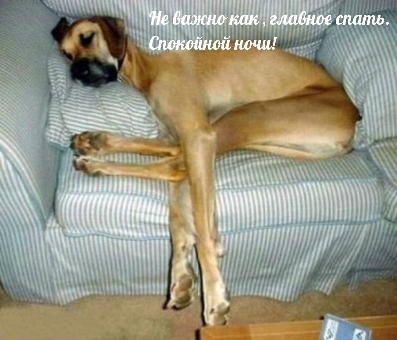 Не важно как , главное спать. Спокойной ночи!