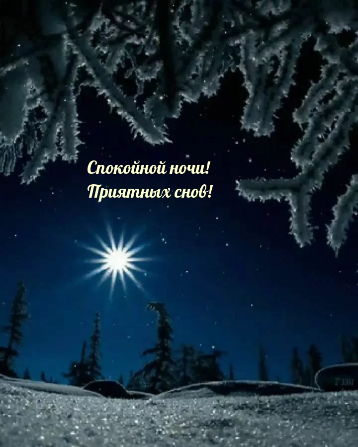 Спокойной ночи! Приятных снов!