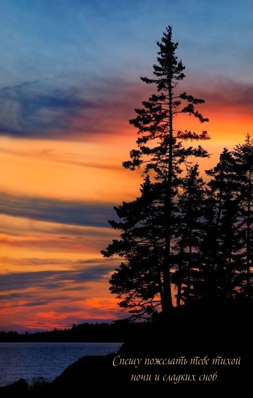 Спешу пожелать тебе тихой ночи и сладких снов.