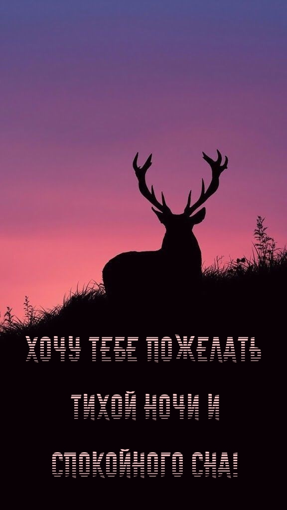 Хочу тебе пожелать тихой ночи и спокойного сна!