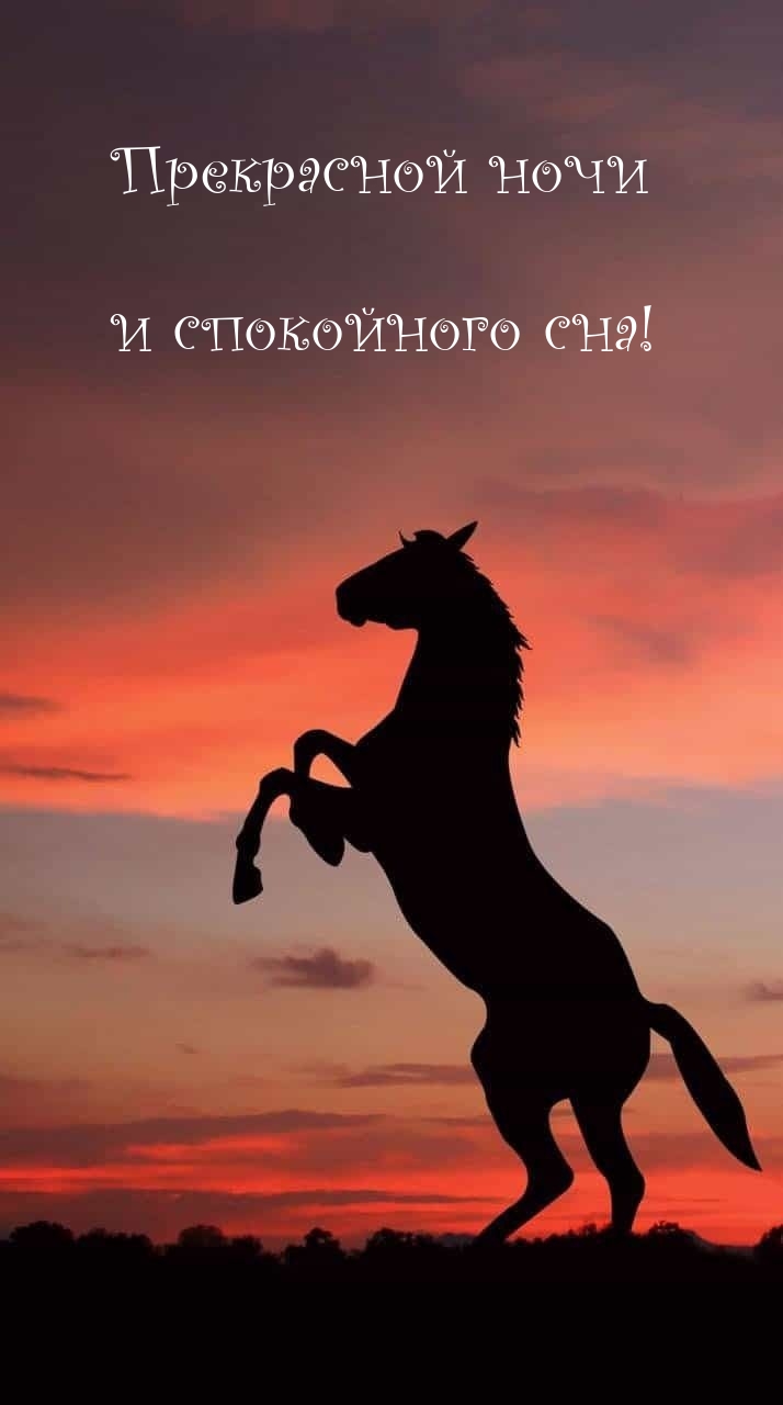 Прекрасной ночи и спокойного сна!