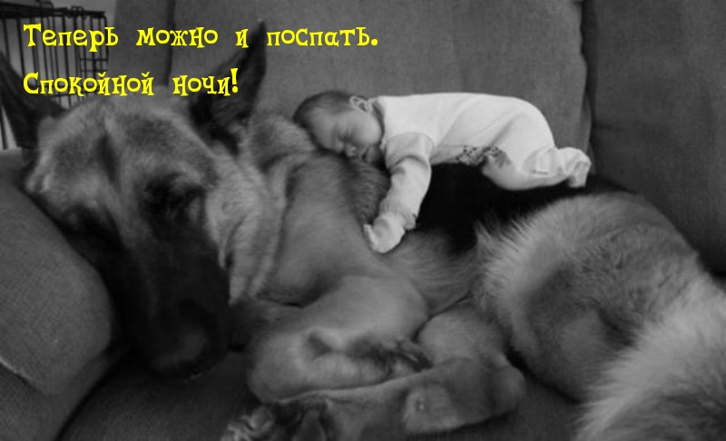 Теперь можно и поспать. Спокойной ночи!