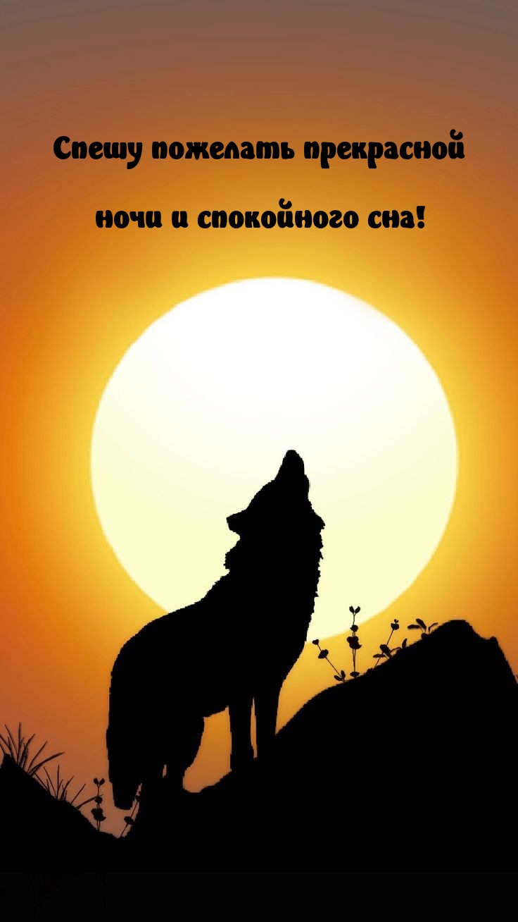 Спешу пожелать прекрасной ночи и спокойного сна!