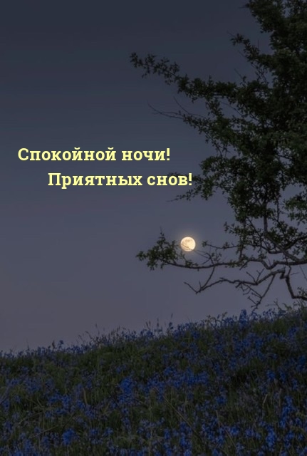 Спокойной ночи! Приятных снов!