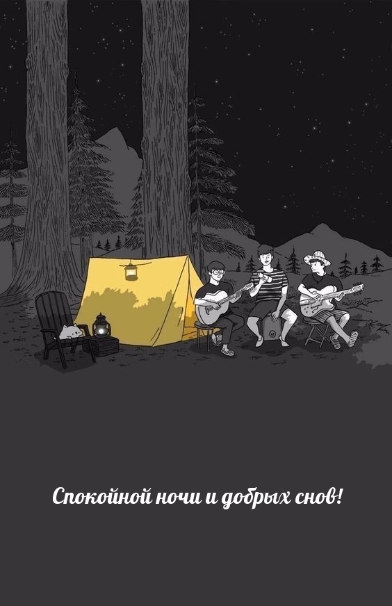 Спокойной ночи и добрых снов!