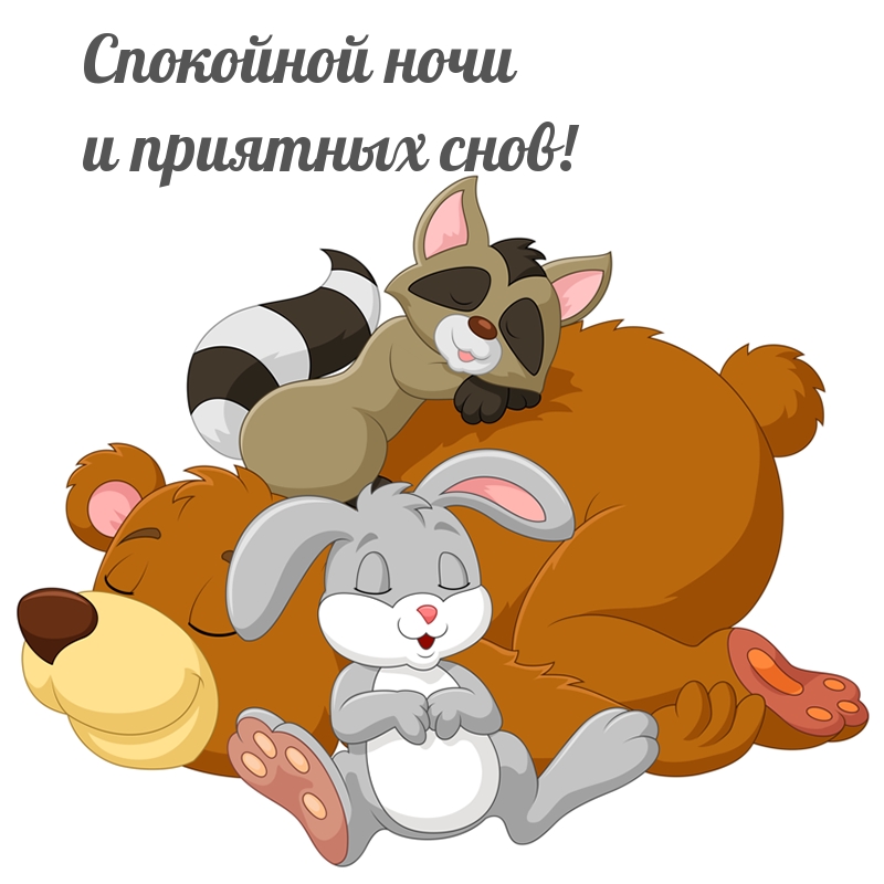 Спокойной ночи и приятных снов!
