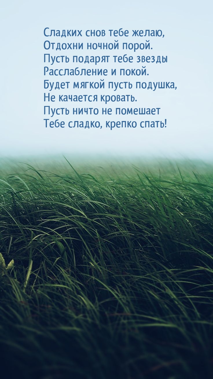 Сладких снов тебе желаю, отдохни ночной порой.