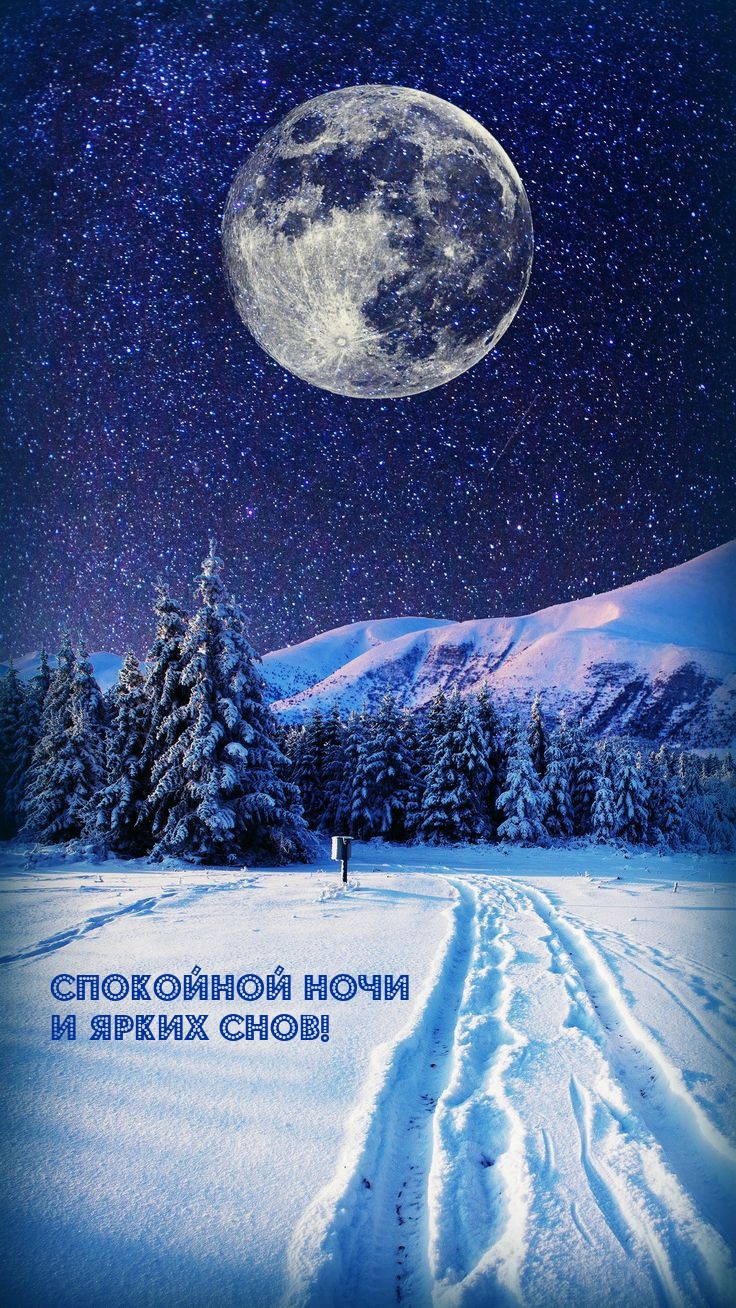 Спокойной ночи и ярких снов!