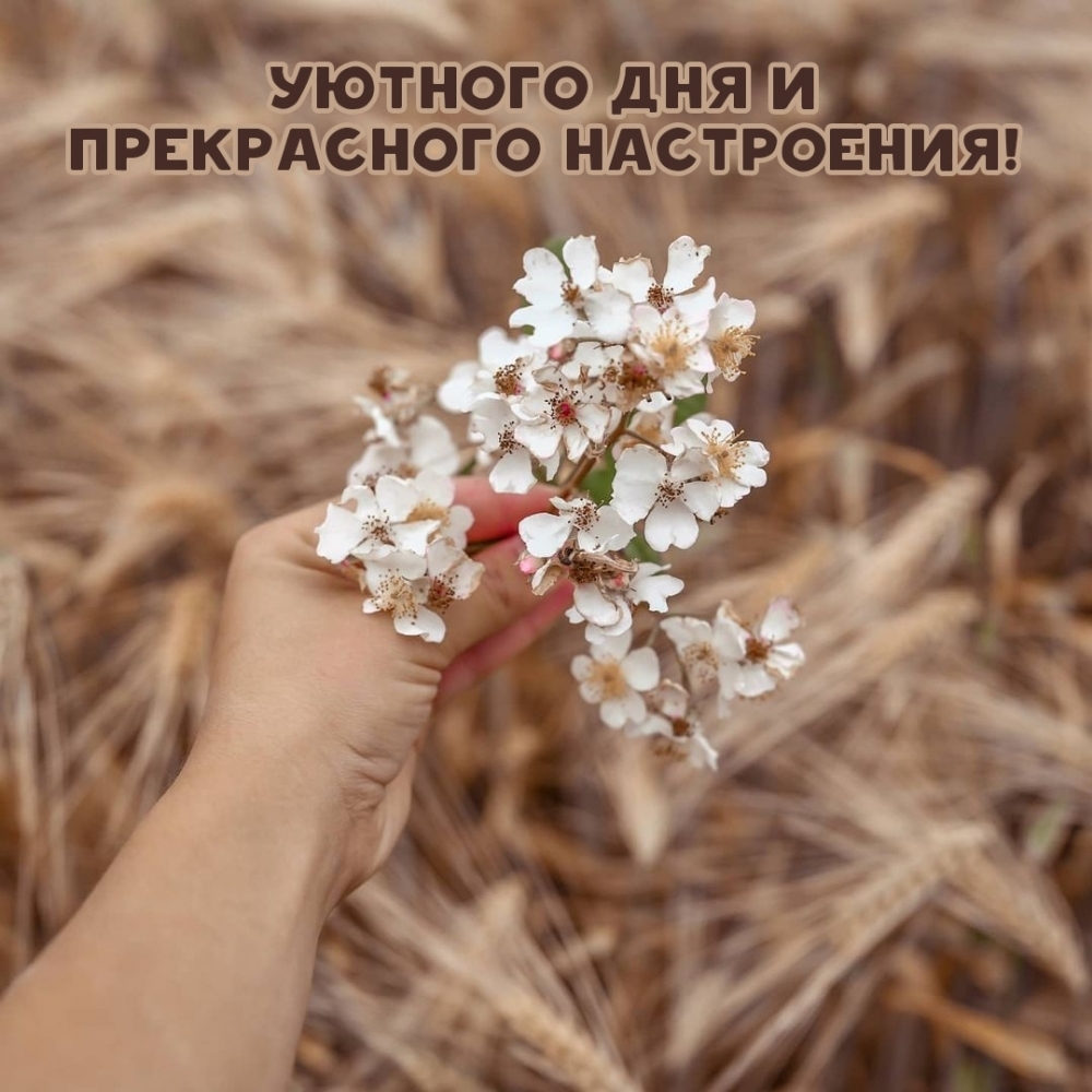 Уютного дня и прекрасного настроения!