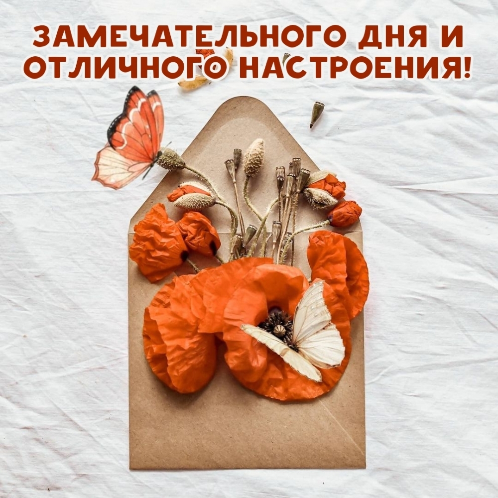 Замечательного дня и отличного настроения!