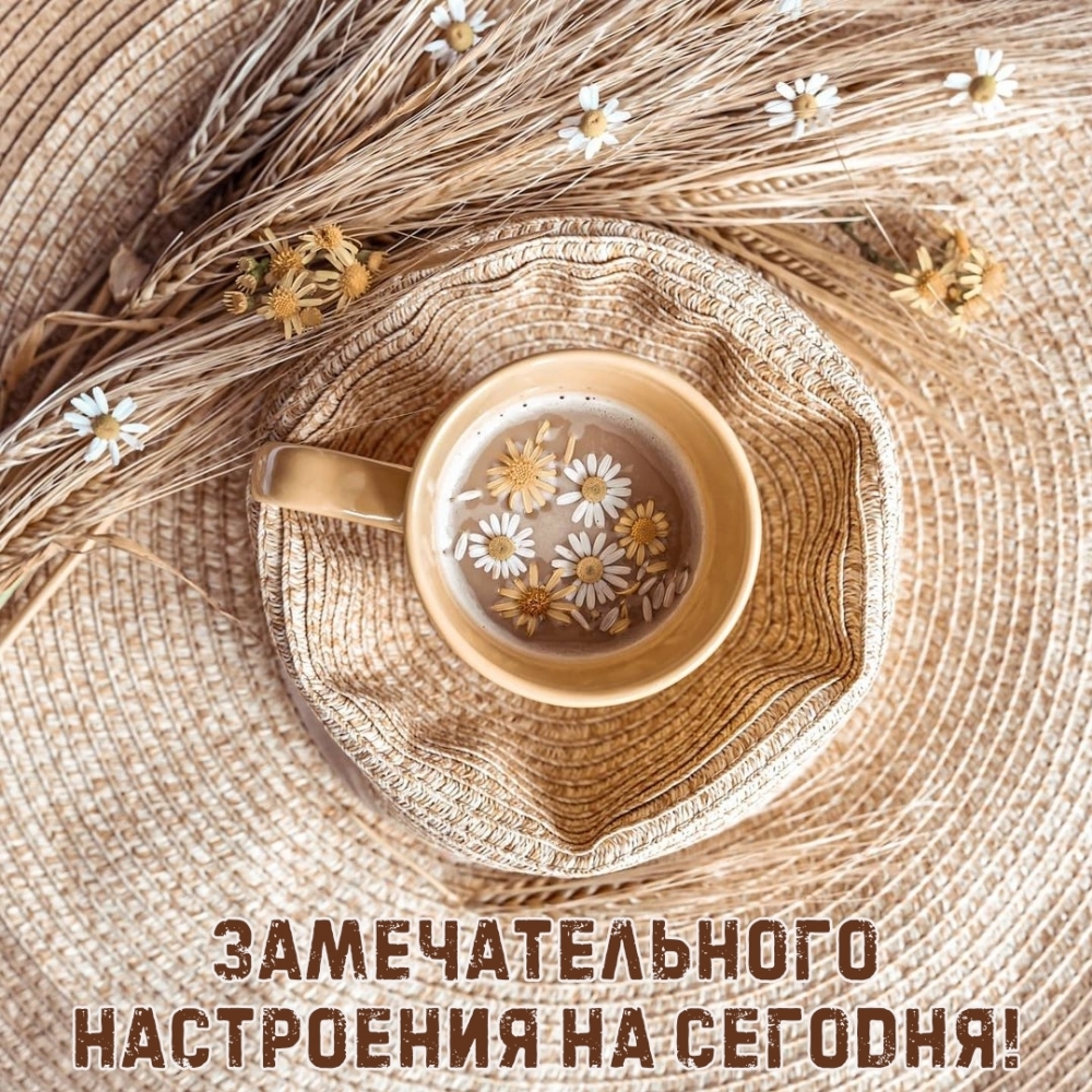 Замечательного настроения на сегодня!