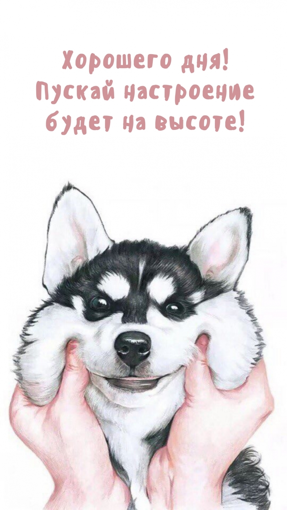 Хорошего дня! Пускай настроение будет на высоте!