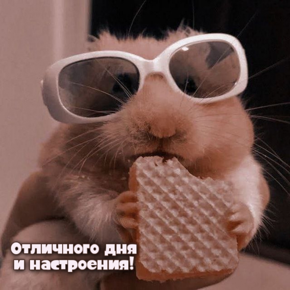Отличного дня и настроения!