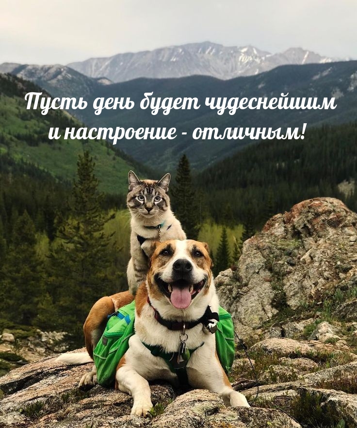 Пусть день будет чудеснейшим и настроение — отличным!