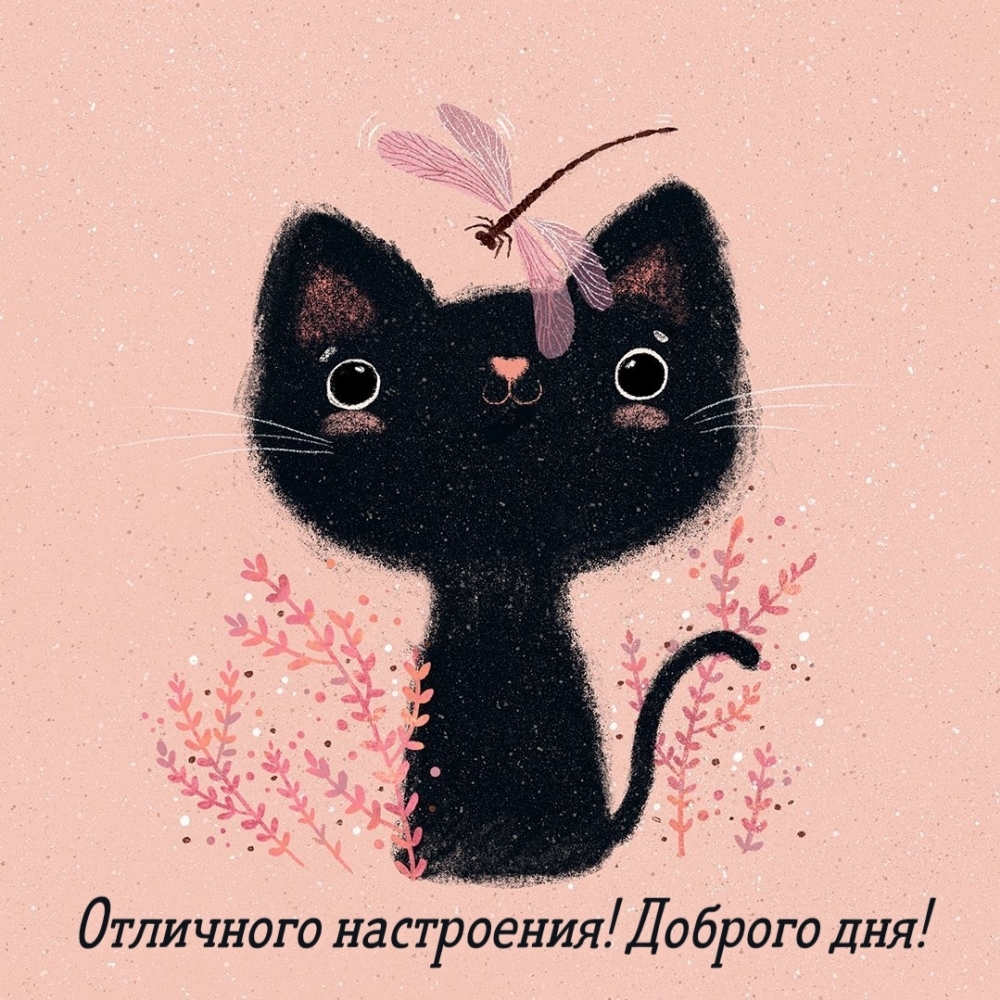 Отличного настроения! Доброго дня!