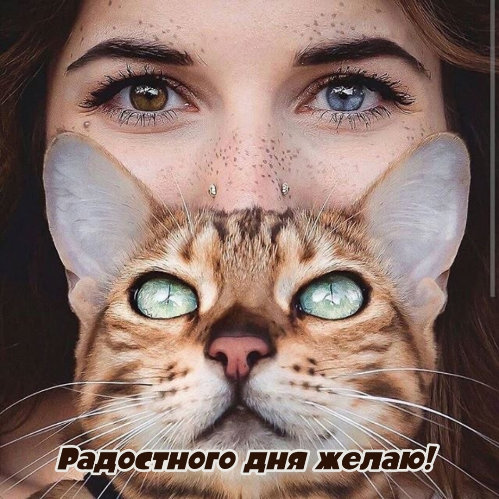 Радостного дня желаю!