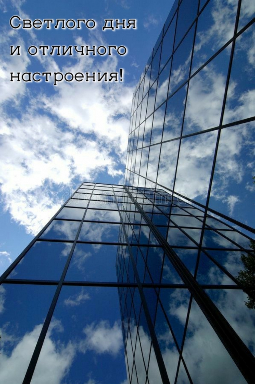 Светлого дня и отличного настроения!