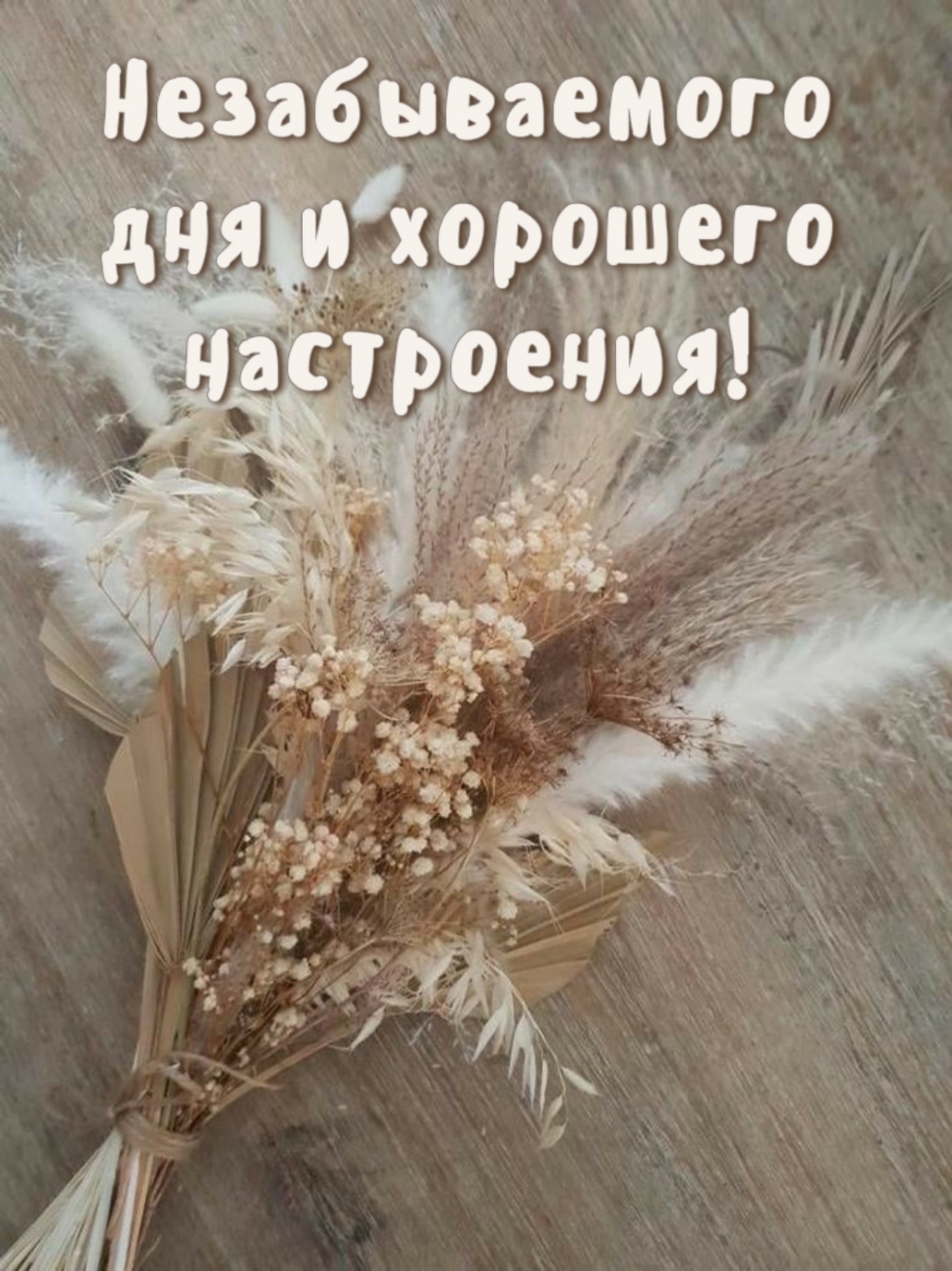 Незабываемого дня и хорошего настроения!