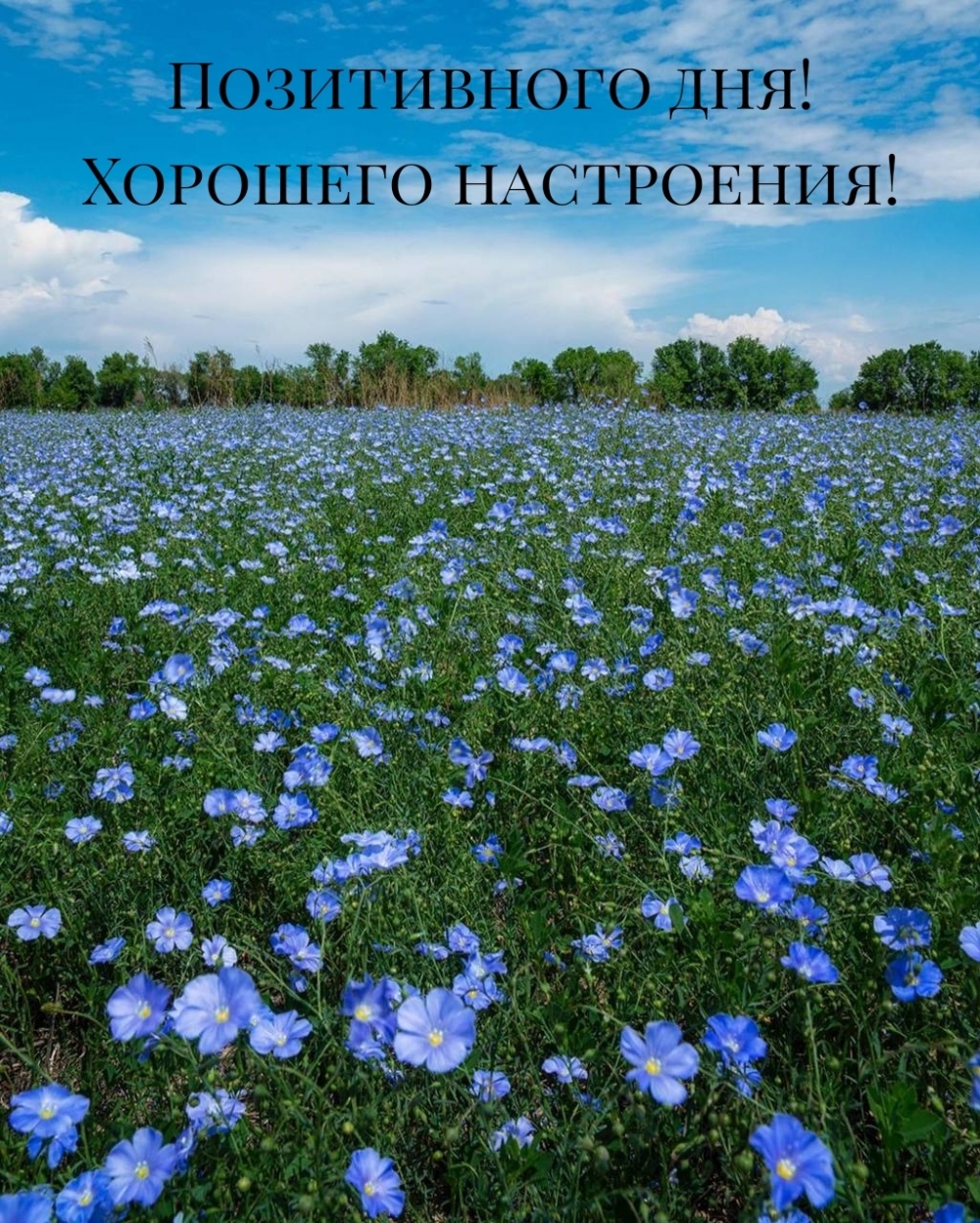 Позитивного дня! Хорошего настроения!