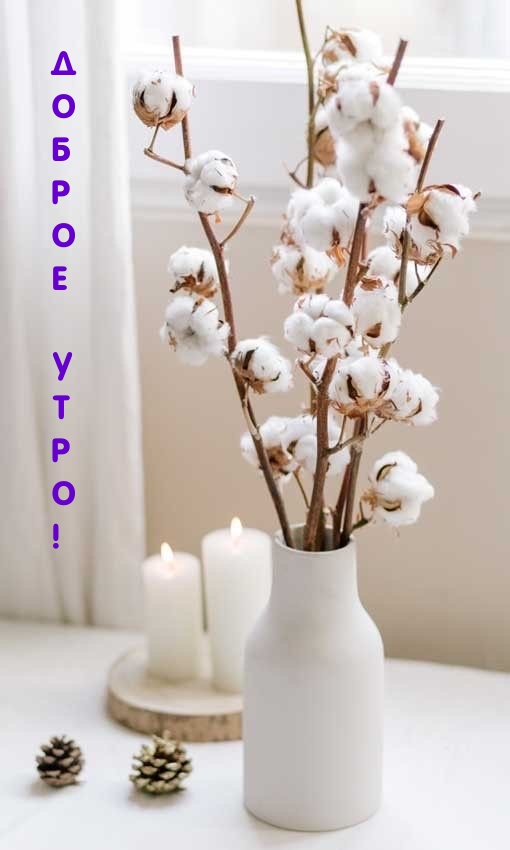 Доброе утро!