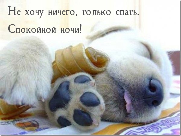 Не хочу ничего, только спать