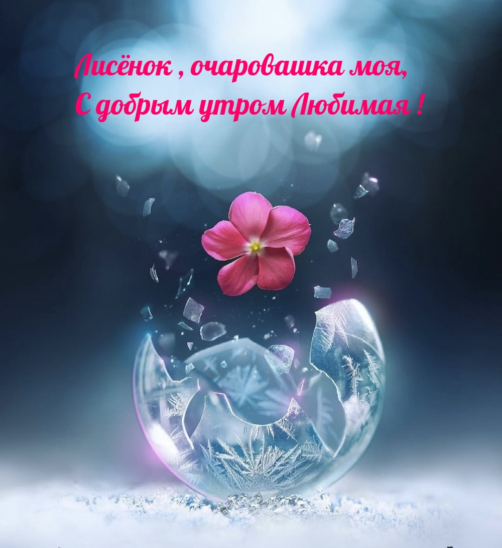 Лисёнок , очаровашка моя, С добрым утром Любимая!