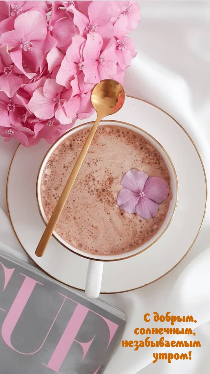 С добрым, солнечным, незабываемым утром!