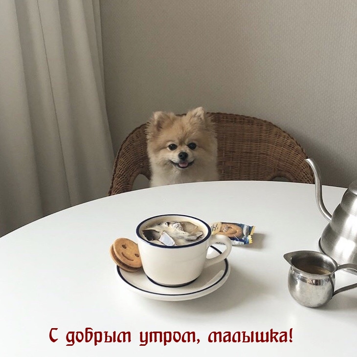 С добрым утром, малышка!