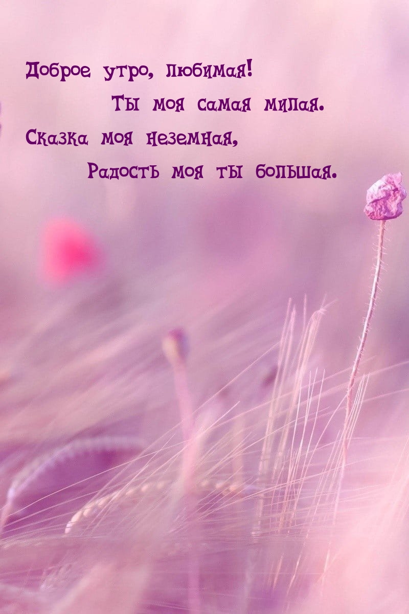Доброе утро, любимая! Ты моя самая милая.