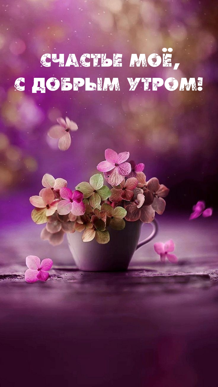 Счастье моё, с добрым утром!