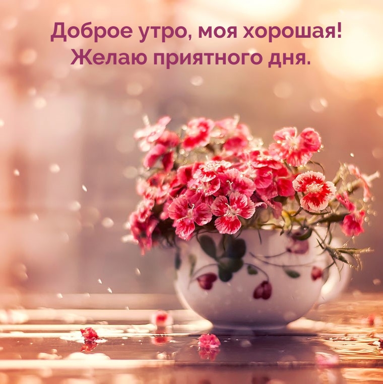 Доброе утро, моя хорошая! Желаю приятного дня.