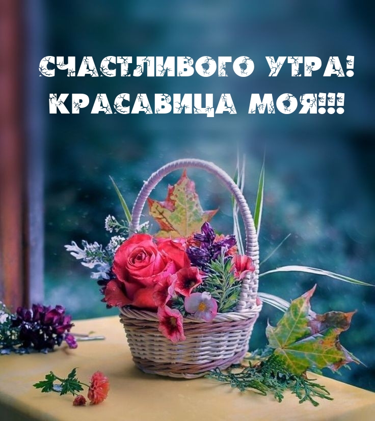 Счастливого утра! Красавица моя!