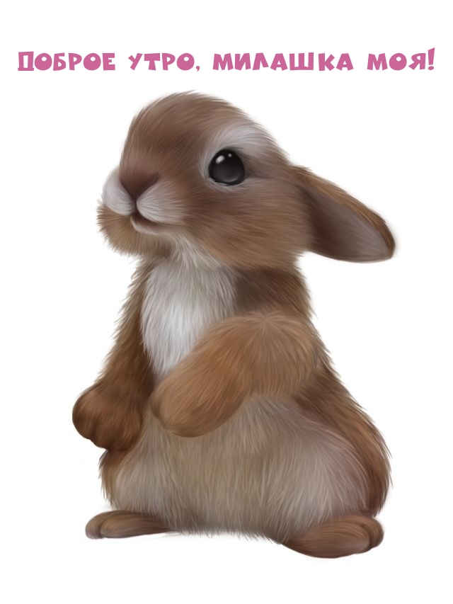 Доброе утро, милашка моя!