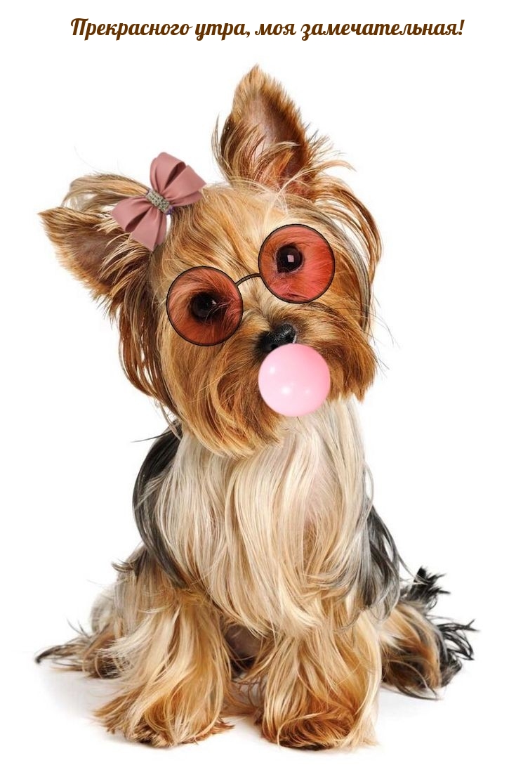 Прекрасного утра, моя замечательная!