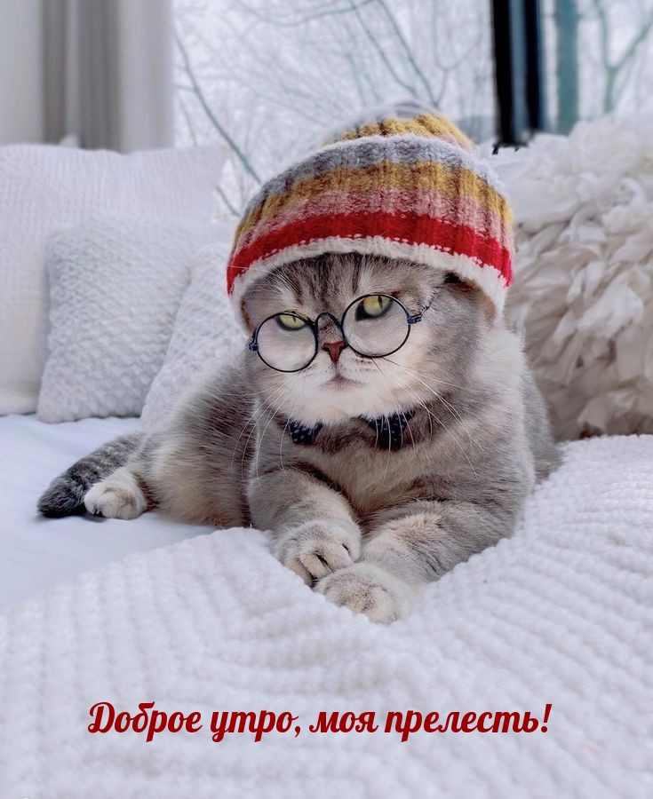 Доброе утро, моя прелесть!