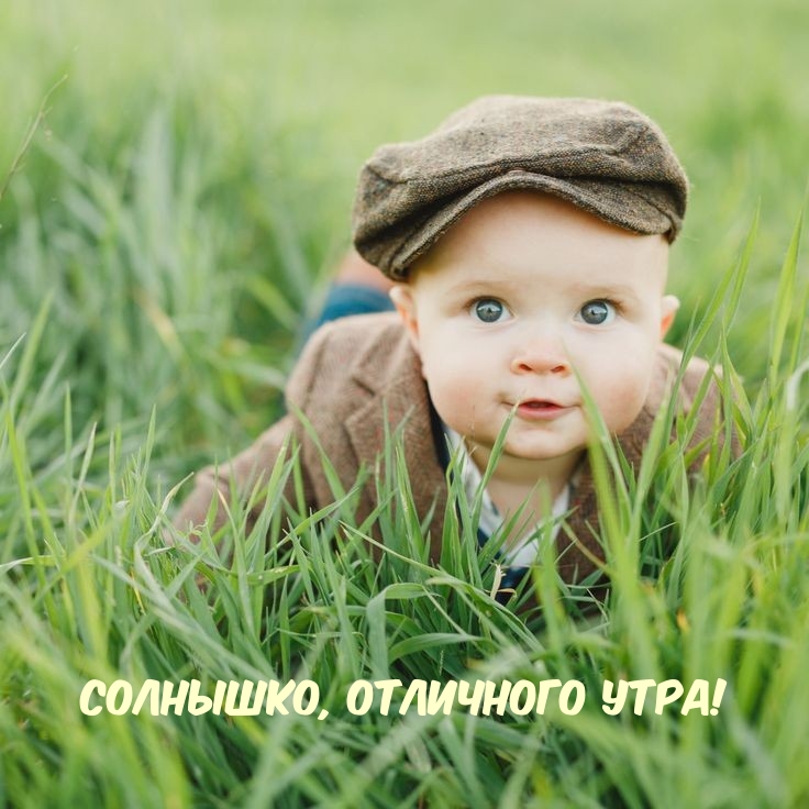 Солнышко, отличного утра!