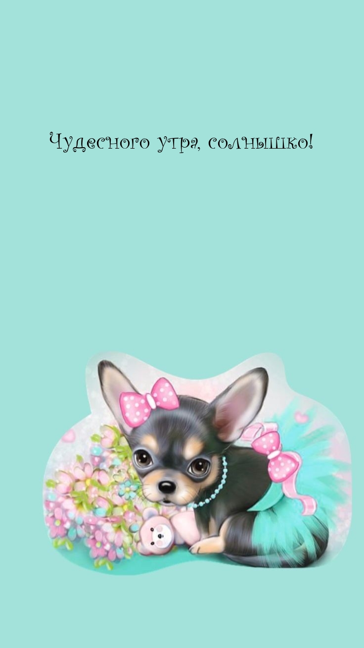 Чудесного утра, солнышко!