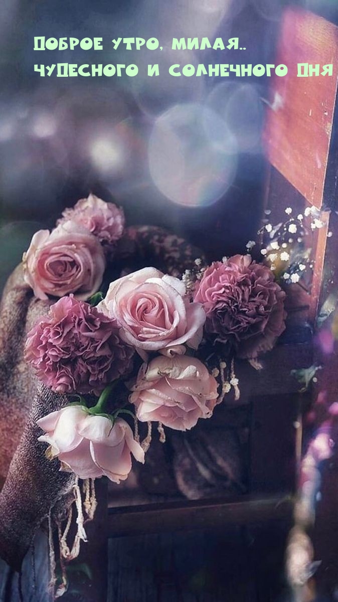 Доброе утро, милая.. Чудесного и солнечного дня