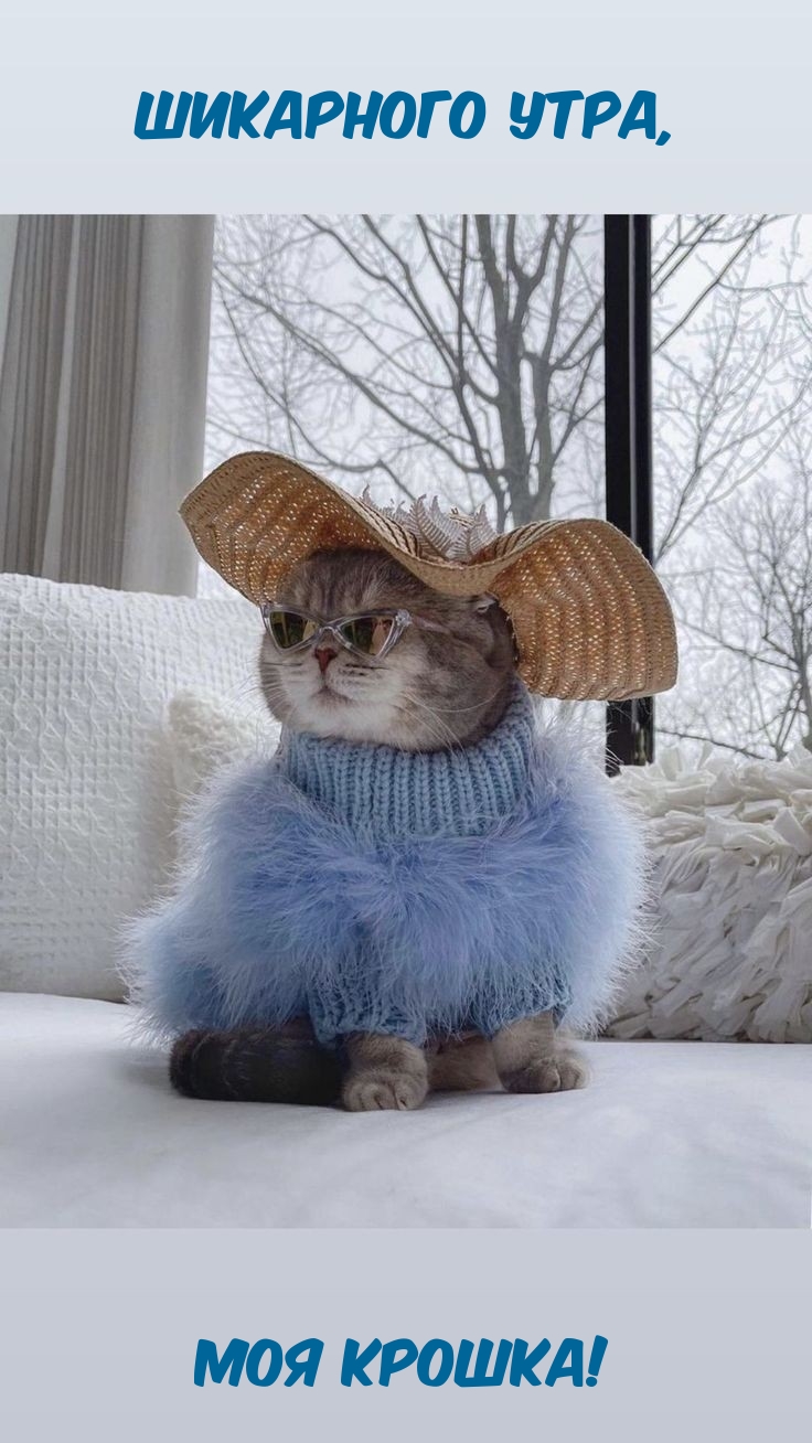 Шикарного утра, моя крошка!