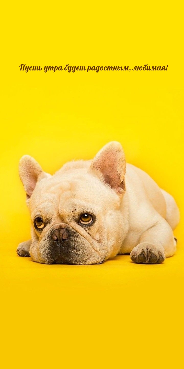 Пусть утра будет радостным, любимая!